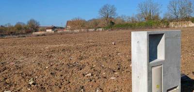Programme terrain + maison à Pange en Moselle (57) de 180 m² à vendre au prix de 495000€ - 4