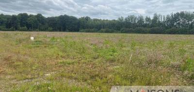Programme terrain + maison à Saint-Josse en Pas-de-Calais (62) de 145 m² à vendre au prix de 425000€ - 3