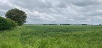 Terrain seul à Provin en Nord (59) de 453 m² à vendre au prix de 118000€ - 1