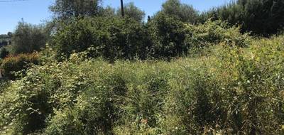 Terrain seul à Biot en Alpes-Maritimes (06) de 1548 m² à vendre au prix de 385000€ - 1
