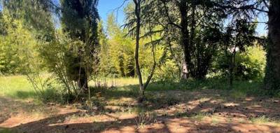 Terrain seul à Pélissanne en Bouches-du-Rhône (13) de 650 m² à vendre au prix de 275000€ - 1