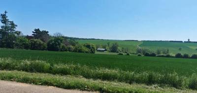 Terrain seul à Pournoy-la-Grasse en Moselle (57) de 600 m² à vendre au prix de 152500€ - 4
