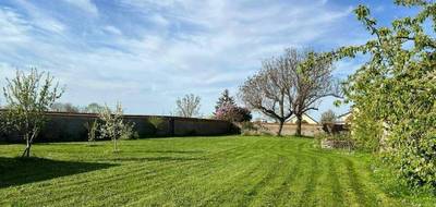 Programme terrain + maison à Artannes-sur-Indre en Indre-et-Loire (37) de 90 m² à vendre au prix de 298900€ - 2