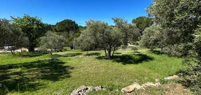 Terrain seul à Lorgues en Var (83) de 2400 m² à vendre au prix de 174000€ - 2