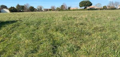 Terrain seul à Corme-Royal en Charente-Maritime (17) de 334 m² à vendre au prix de 43420€ - 1