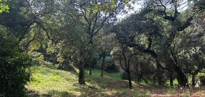 Programme terrain + maison à Sainte-Maxime en Var (83) de 155 m² à vendre au prix de 1290000€ - 3