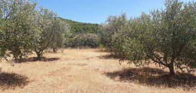 Programme terrain + maison à Puget-Ville en Var (83) de 98 m² à vendre au prix de 425000€ - 4