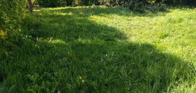 Terrain seul à Moret-Loing-et-Orvanne en Seine-et-Marne (77) de 800 m² à vendre au prix de 80000€ - 3