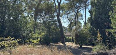 Programme terrain + maison à Pierrefeu-du-Var en Var (83) de 75 m² à vendre au prix de 310000€ - 3