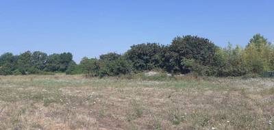 Terrain seul à Callian en Var (83) de 1240 m² à vendre au prix de 224000€ - 3