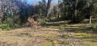 Terrain seul à La Roque-d'Anthéron en Bouches-du-Rhône (13) de 800 m² à vendre au prix de 189890€ - 3