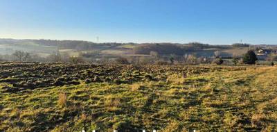 Terrain seul à Sainte-Gemme en Gironde (33) de 5000 m² à vendre au prix de 47500€ - 3