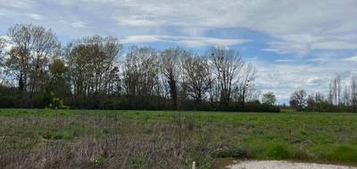 Programme terrain + maison à Viterbe en Tarn (81) de 120 m² à vendre au prix de 269000€ - 4