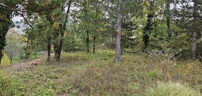 Terrain seul à Saint-Vallier-de-Thiey en Alpes-Maritimes (06) de 972 m² à vendre au prix de 185000€ - 4