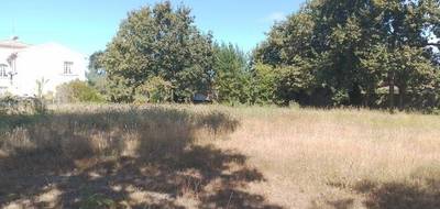 Terrain seul à Audenge en Gironde (33) de 600 m² à vendre au prix de 190000€ - 1