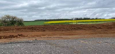 Programme terrain + maison à Ottange en Moselle (57) de 100 m² à vendre au prix de 372000€ - 3