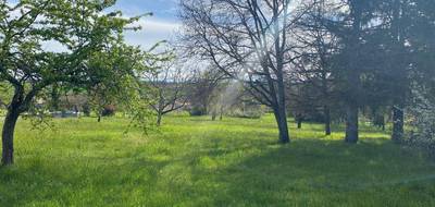Programme terrain + maison à Rosières en Tarn (81) de 115 m² à vendre au prix de 259000€ - 4