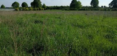 Terrain seul à Moret-Loing-et-Orvanne en Seine-et-Marne (77) de 800 m² à vendre au prix de 80000€ - 1