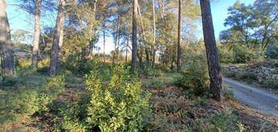 Terrain seul à Trans-en-Provence en Var (83) de 926 m² à vendre au prix de 189000€ - 4