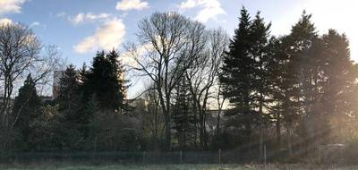 Programme terrain + maison à La Ferté-Bernard en Sarthe (72) de 60 m² à vendre au prix de 169000€ - 4