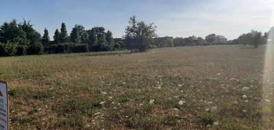 Programme terrain + maison à Roézé-sur-Sarthe en Sarthe (72) de 100 m² à vendre au prix de 245000€ - 3