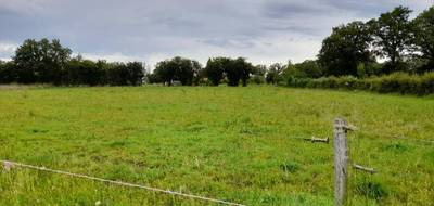 Programme terrain + maison à Saint-Vaury en Creuse (23) de 91 m² à vendre au prix de 204700€ - 4