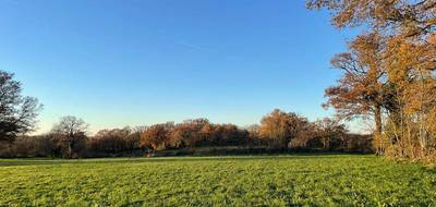 Programme terrain + maison à Mosnay en Indre (36) de 95 m² à vendre au prix de 181400€ - 3
