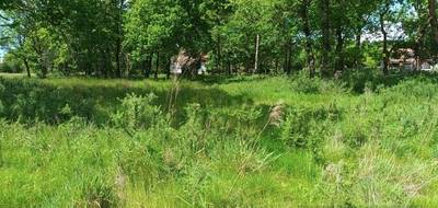 Terrain seul à Pissos en Landes (40) de 901 m² à vendre au prix de 108120€ - 1