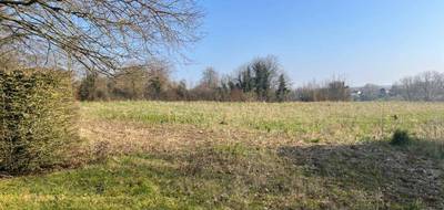 Programme terrain + maison à Oneux en Somme (80) de 145 m² à vendre au prix de 290368€ - 4