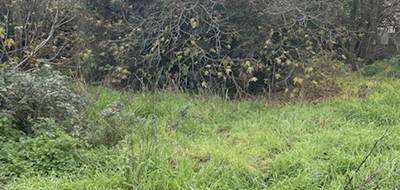 Terrain seul à La Penne-sur-Huveaune en Bouches-du-Rhône (13) de 550 m² à vendre au prix de 296000€ - 3