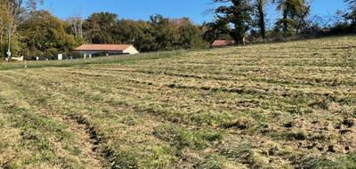 Terrain seul à Bonnac-la-Côte en Haute-Vienne (87) de 1400 m² à vendre au prix de 45000€ - 1