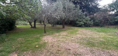 Terrain seul à Draguignan en Var (83) de 1000 m² à vendre au prix de 165000€ - 1