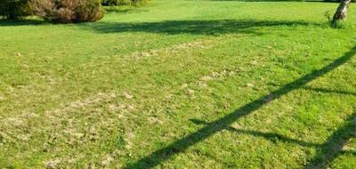 Programme terrain + maison à Oradour-sur-Glane en Haute-Vienne (87) de 93 m² à vendre au prix de 241000€ - 4