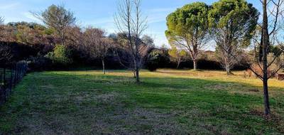 Terrain seul à Châteaurenard en Bouches-du-Rhône (13) de 1200 m² à vendre au prix de 320000€ - 1
