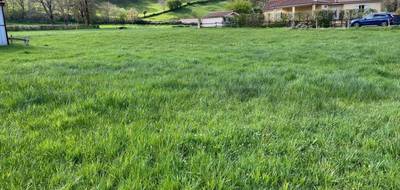 Terrain seul à Vézac en Cantal (15) de 5000 m² à vendre au prix de 55000€ - 1