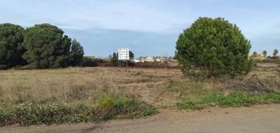 Terrain seul à Autignac en Hérault (34) de 350 m² à vendre au prix de 80000€ - 3