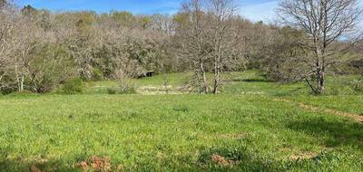 Terrain seul à Nabirat en Dordogne (24) de 3225 m² à vendre au prix de 29400€ - 2