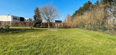 Programme terrain + maison à Wambrechies en Nord (59) de 165 m² à vendre au prix de 698000€ - 4