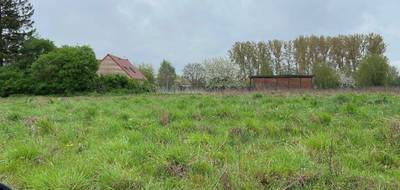 Programme terrain + maison à Bailleul-Sir-Berthoult en Pas-de-Calais (62) de 99 m² à vendre au prix de 253630€ - 4