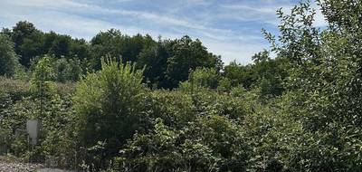 Programme terrain + maison à Port-sur-Saône en Haute-Saône (70) de 73 m² à vendre au prix de 317925€ - 3