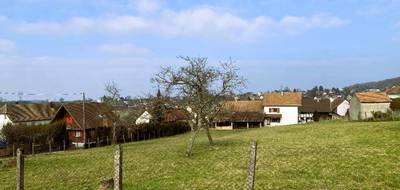 Programme terrain + maison à Durlinsdorf en Haut-Rhin (68) de 160 m² à vendre au prix de 798050€ - 3