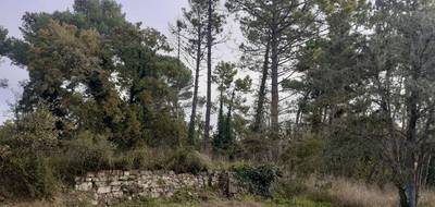 Terrain seul à Callian en Var (83) de 2300 m² à vendre au prix de 220000€ - 1