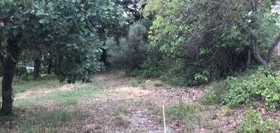 Programme terrain + maison à Montpellier en Hérault (34) de 140 m² à vendre au prix de 765500€ - 3