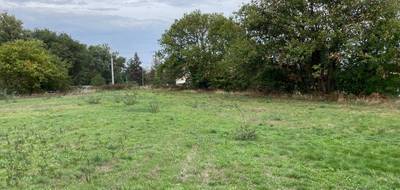 Programme terrain + maison à Labruguière en Tarn (81) de 91 m² à vendre au prix de 208166€ - 4