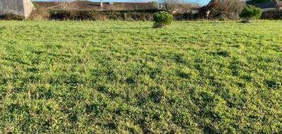 Terrain seul à Saint-Palais-sur-Mer en Charente-Maritime (17) de 329 m² à vendre au prix de 176000€ - 1