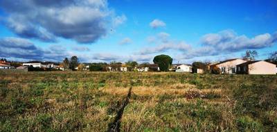 Terrain seul à Gaillac en Tarn (81) de 629 m² à vendre au prix de 73500€ - 1