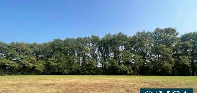 Terrain seul à Vielle-Tursan en Landes (40) de 2500 m² à vendre au prix de 49000€ - 1