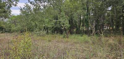 Terrain seul à Tourrettes en Var (83) de 1545 m² à vendre au prix de 260000€ - 1