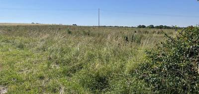 Programme terrain + maison à Distroff en Moselle (57) de 110 m² à vendre au prix de 319000€ - 3