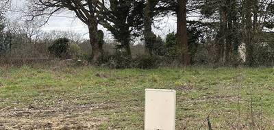 Programme terrain + maison à Dompierre-sur-Mer en Charente-Maritime (17) de 110 m² à vendre au prix de 544601€ - 3